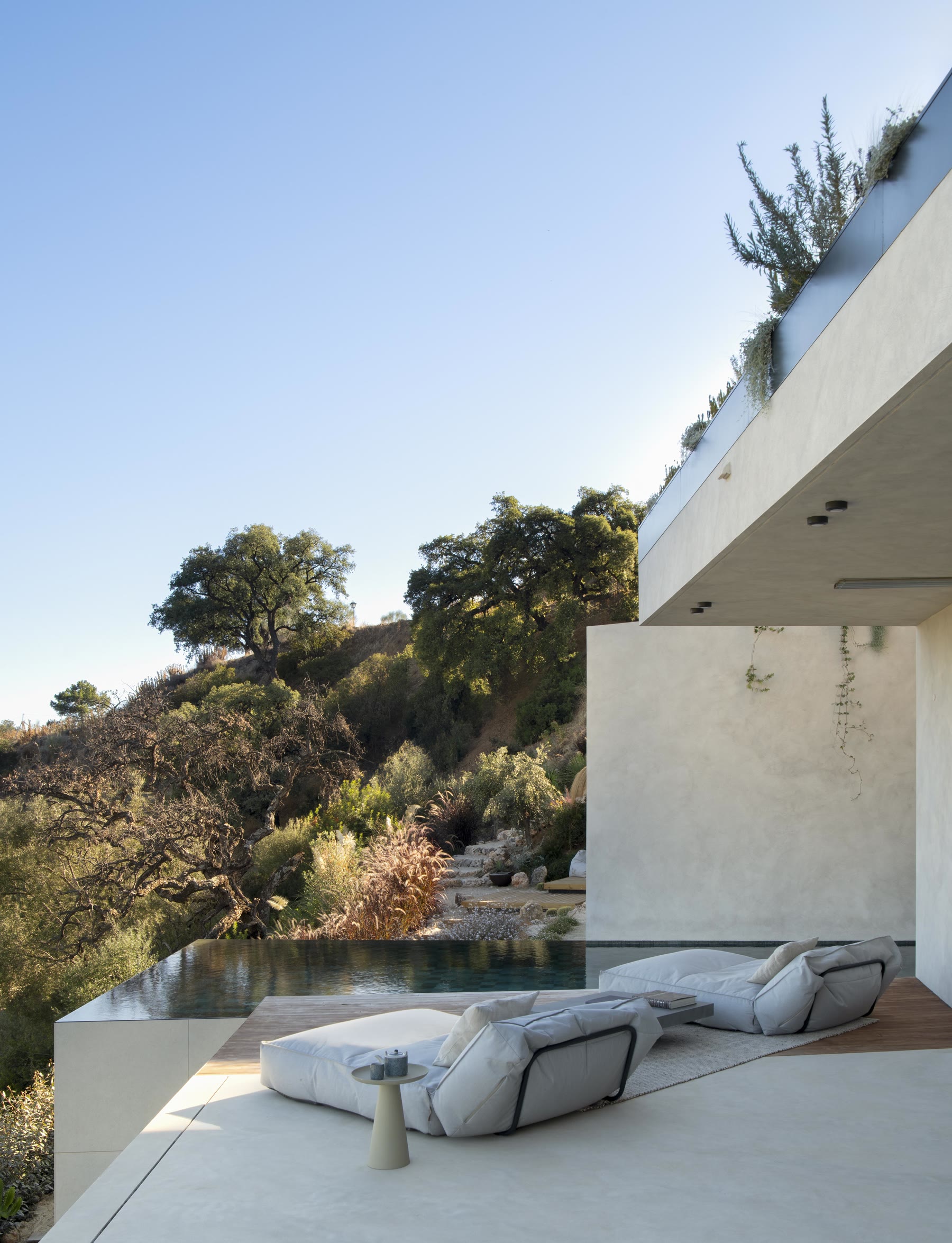 The cantilevered upper volume over the pool loungers, evening light