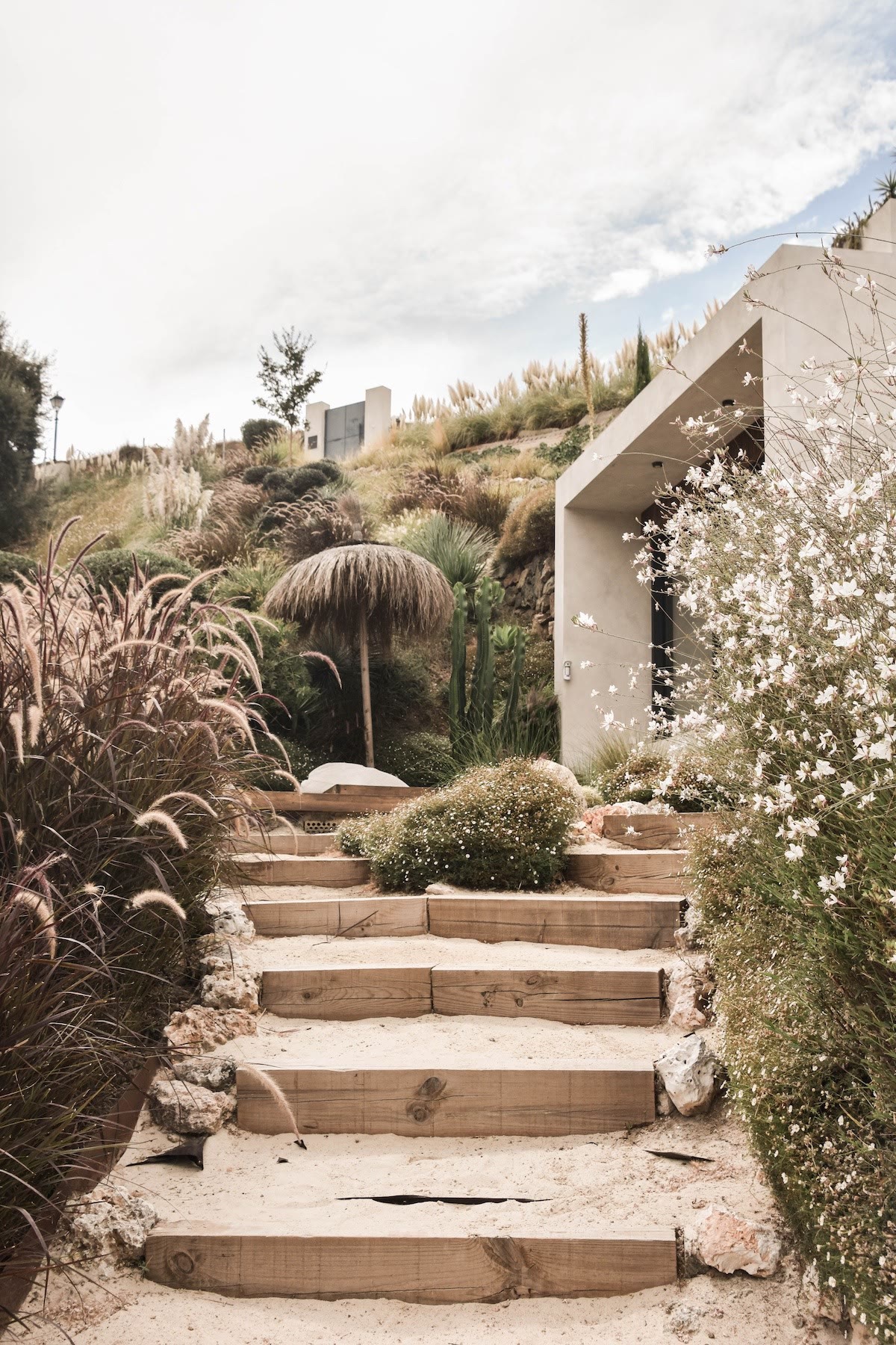 Stone steps rising through grasses